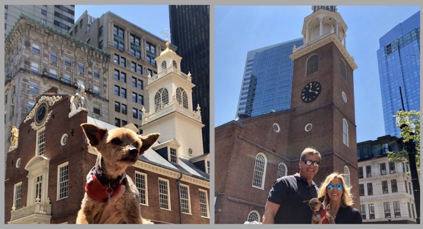Buster Does Boston