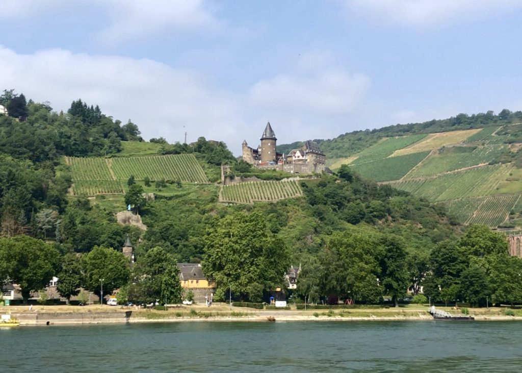 Rhine River Gorge
