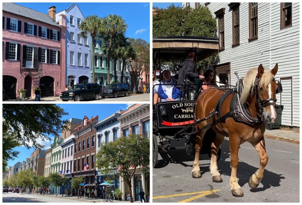 Charleston Horse-drawn Carriage